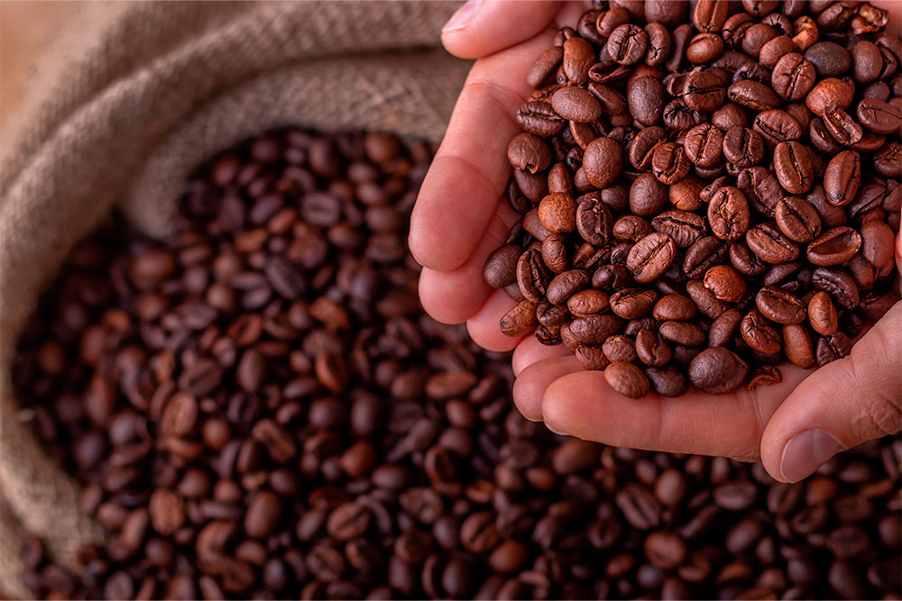 コーヒー豆01